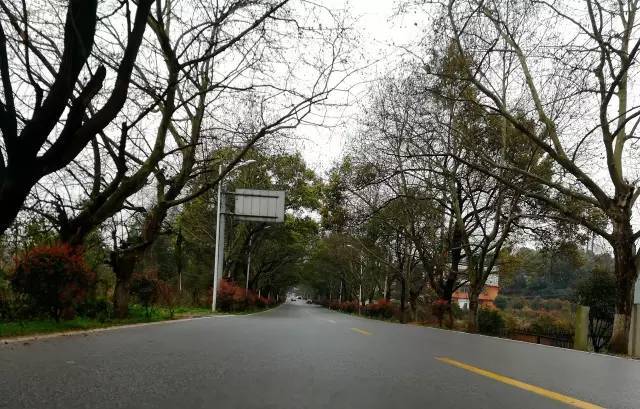 兄弟大作战之我的女友叫静香