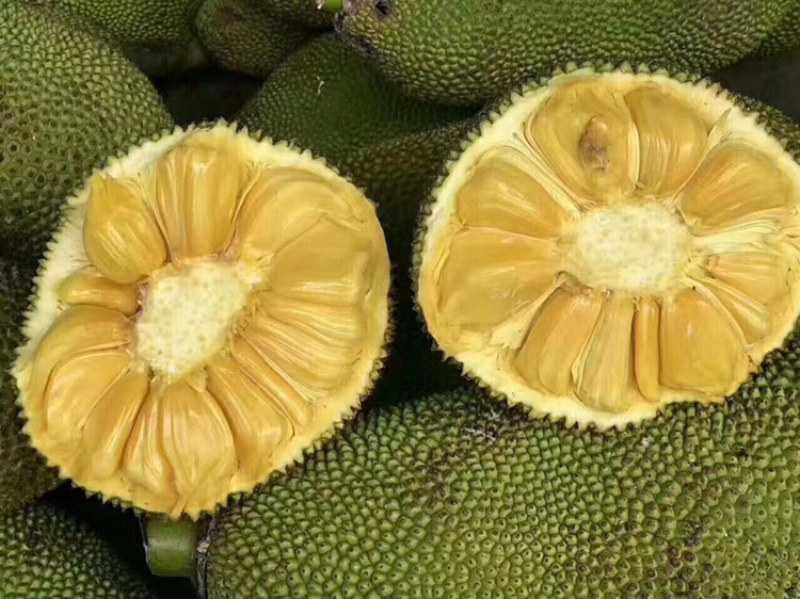 冰上轻驰 推荐产品