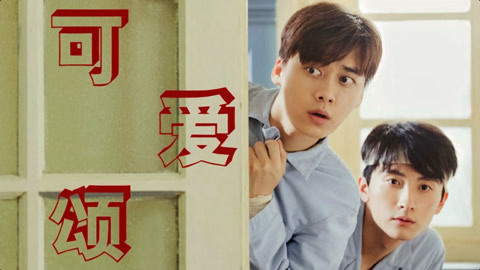 任性的硬币 相关产品