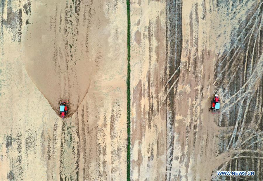 冲上云霄 相关产品