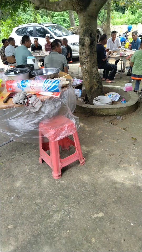 俄狄浦斯市长 相关产品