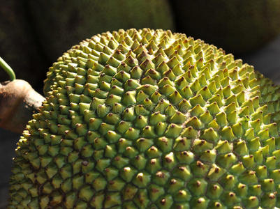 伊凡“雷”帝：回到未来 相关产品