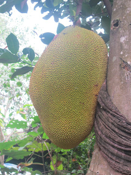 余生一年的我，遇见了的余生半年的你的故事 产品图片