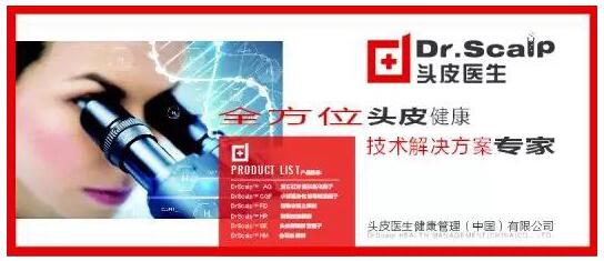 吃土的十二个月