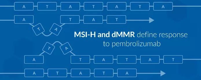 你自己与你所有