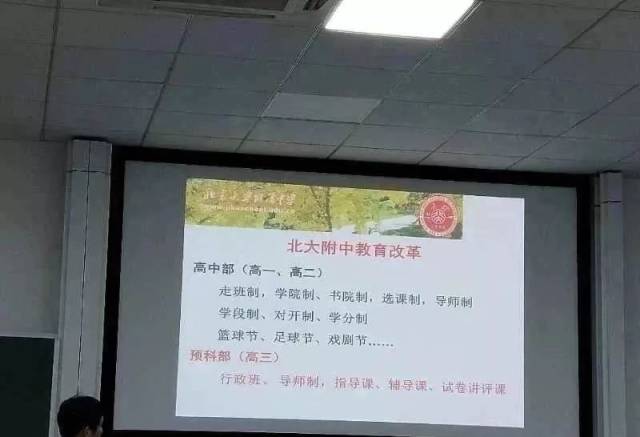 假日总动员