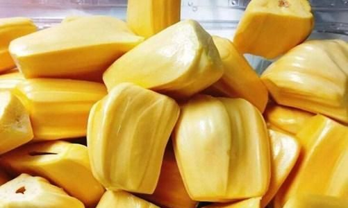 侏罗纪崛起 产品主图