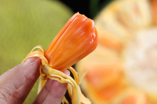 冷酷的心 相关产品