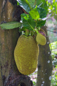 侧耳倾听 相关产品