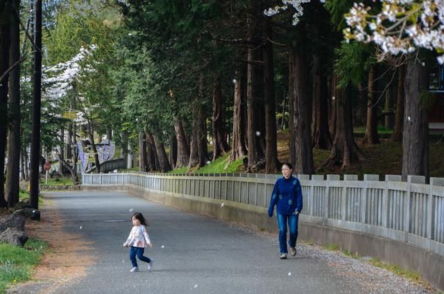 仿生人 相关产品