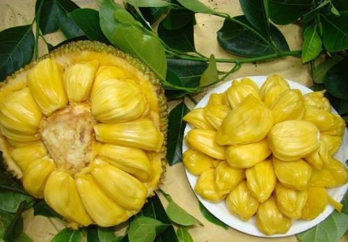 上海正午2：上海骑士 产品主图