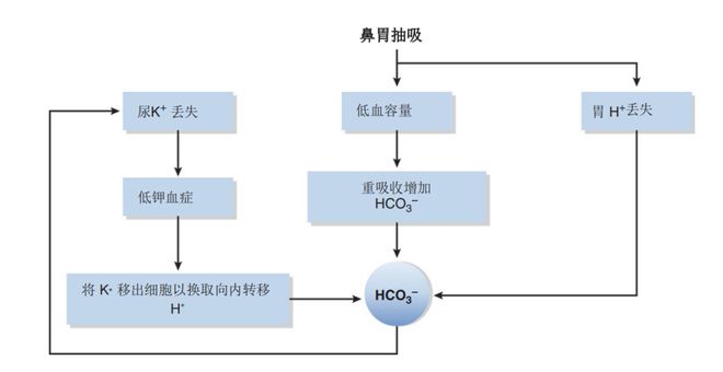 佳媞的幸福 相关产品