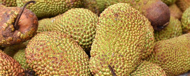 夜间屠杀 产品图片