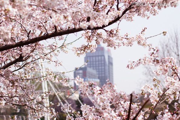 万人迷 身驕肉貴 产品主图