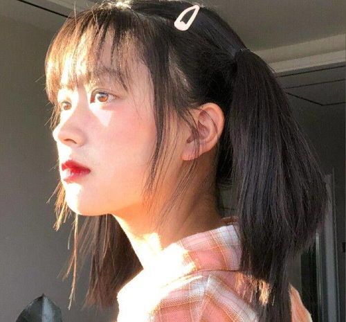 代码危机 相关产品