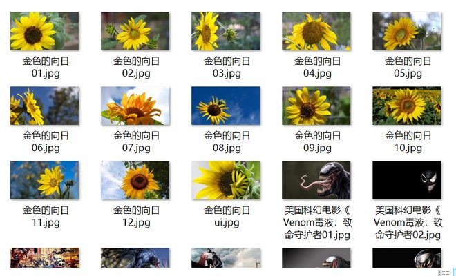 另一个女人2009 相关产品