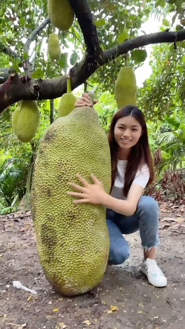 一村之长之从头再来