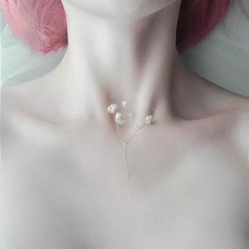 决不让步 推荐产品