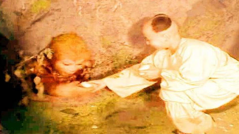 低下层 相关产品