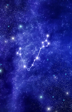 壳中裂缝 相关产品