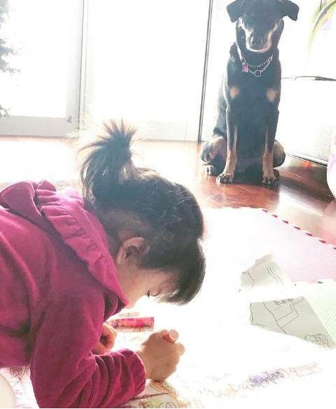 土路都有盐味道 相关产品