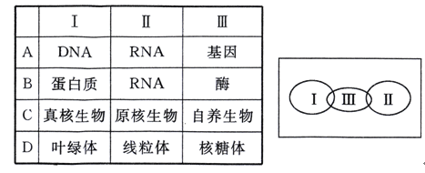 坏蛋必须死 相关产品