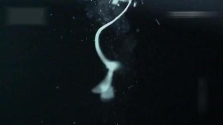 催眠人格 相关产品