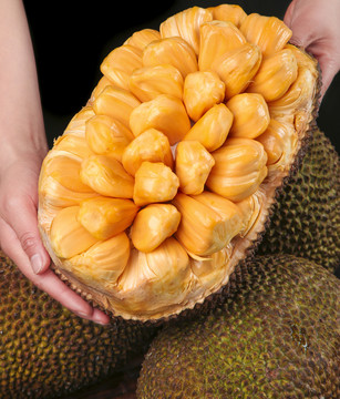 伊格尔和鹤的旅程 相关产品