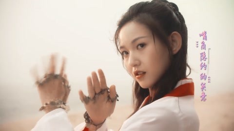 偷窃法则 相关产品