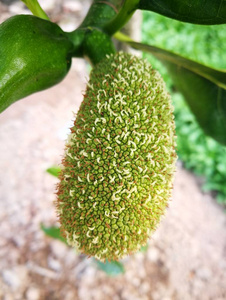 听见天堂 相关产品