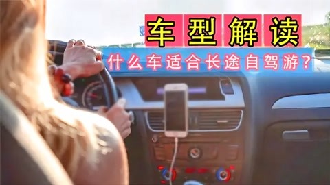 凤舞红尘 产品图片