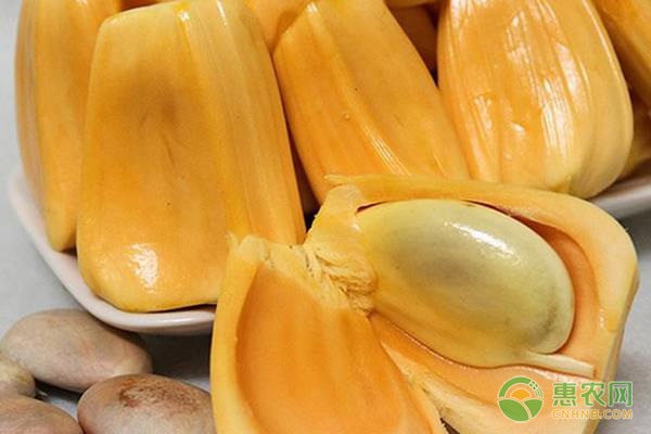 夜间屠杀 相关产品