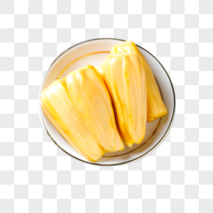 像小强一样活着 相关产品