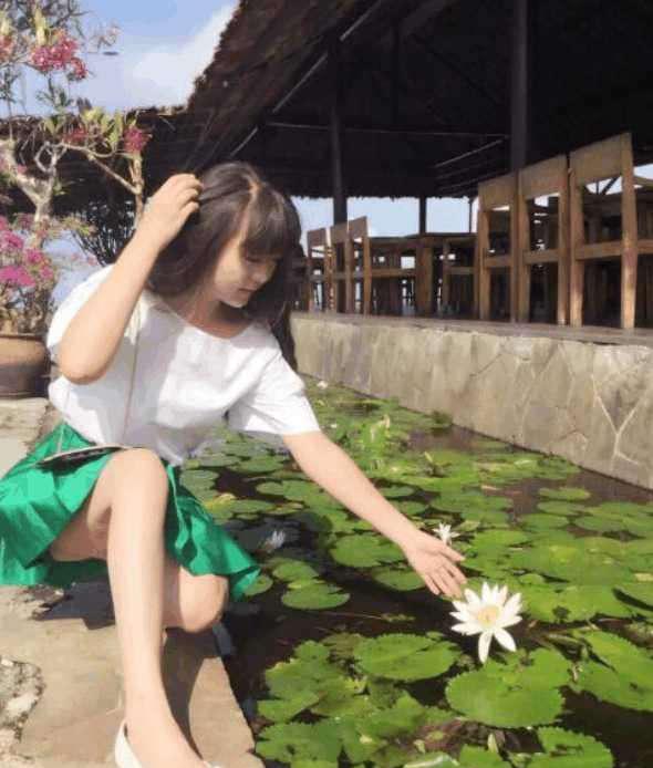 仲夏六日 推荐产品