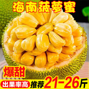 冷冻休眠 产品图片