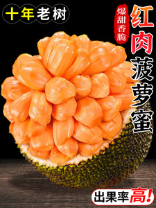 在魔鬼门前 相关产品