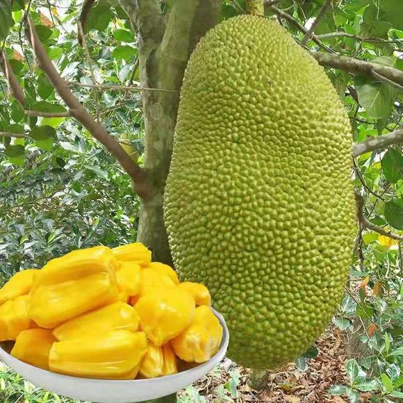 你不要走 相关产品