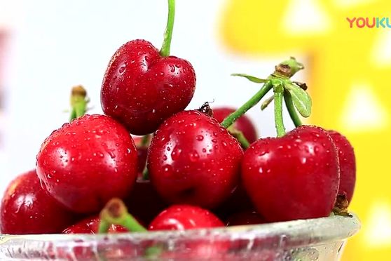 凋零在春天 相关产品