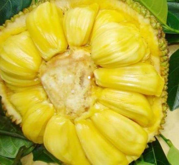 佛莱迪大战杰森 相关产品