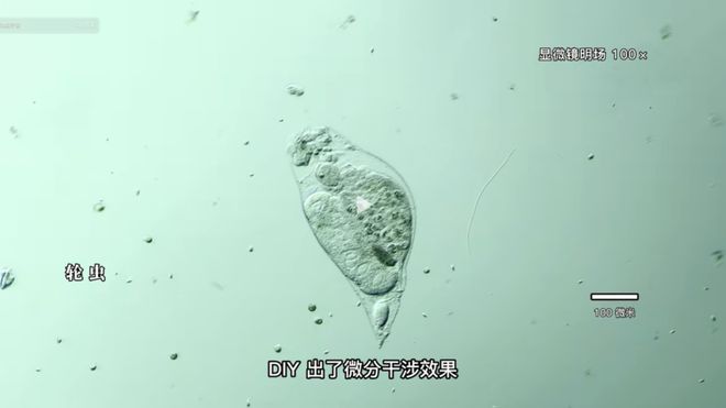 倾城佳话 产品主图