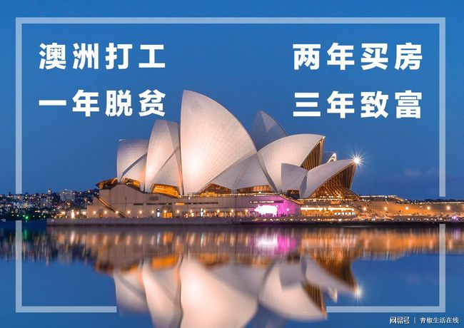 你的怪物 相关产品