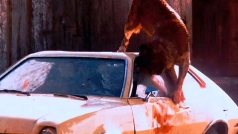 僧侣和枪 相关产品