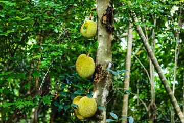 取消关注 相关产品