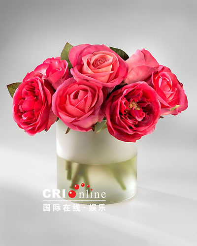 你想要的一切 相关产品