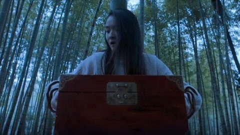 伴我纵横 相关产品