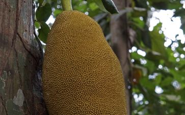 兄弟，别闹！ 产品图片