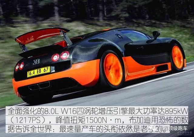 凋零在春天 产品图片