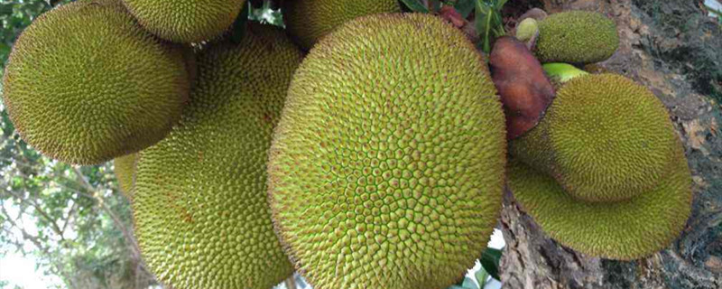 冷冻休眠 相关产品