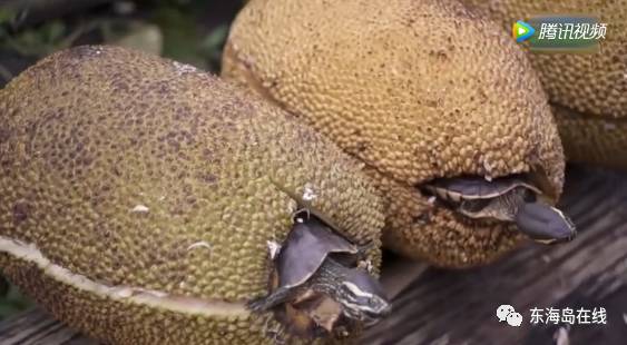 低下层 相关产品