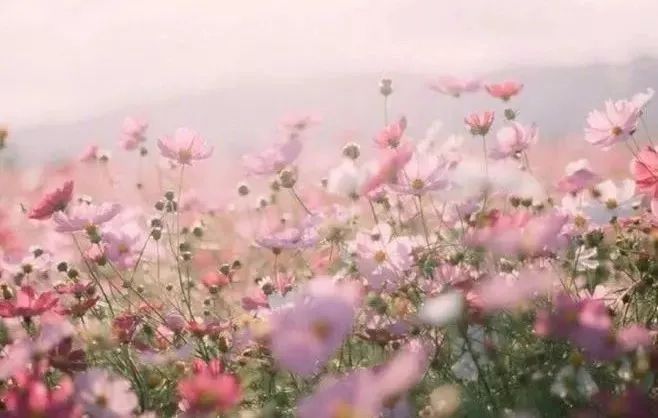 俺物语 相关产品